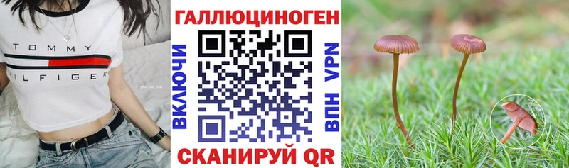 Псилоцибиновые грибы Magic Shrooms  Купить закладки  Отрадное 
